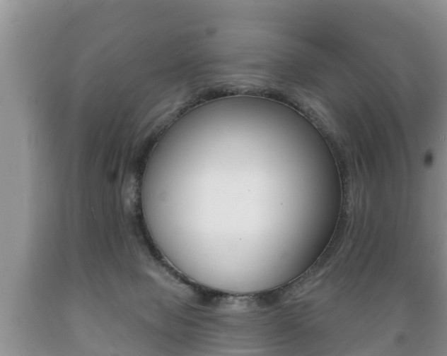 X0000089760077200706211004