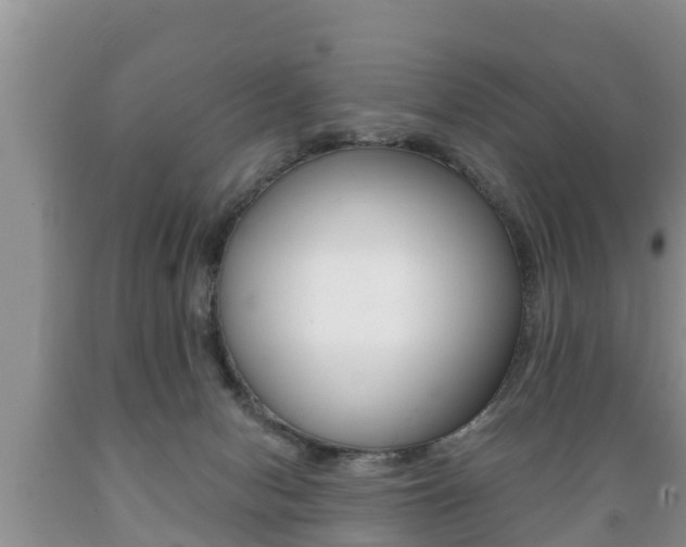 X0000089760078200706211004