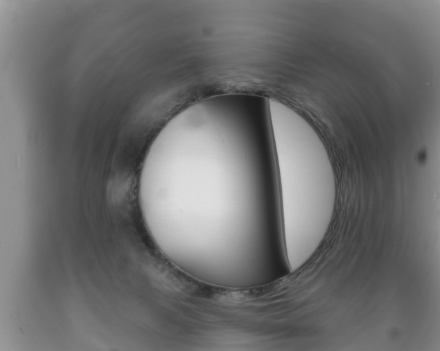 X0000089760079200706211004