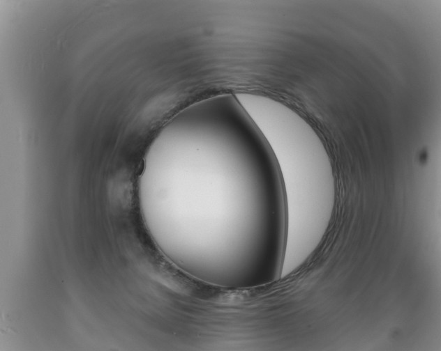 X0000089760080200706211004