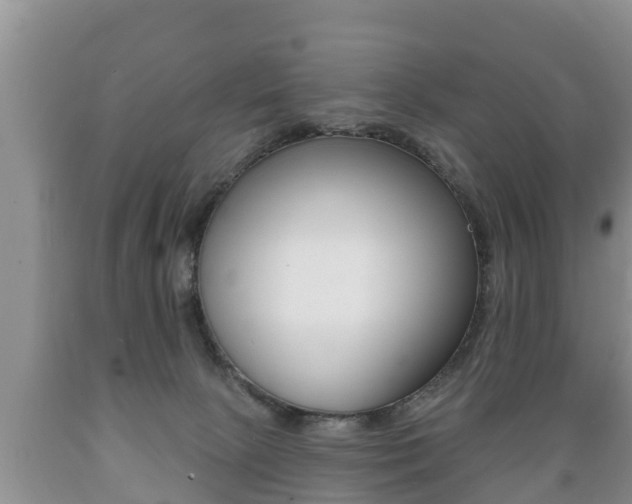X0000089760081200706211004