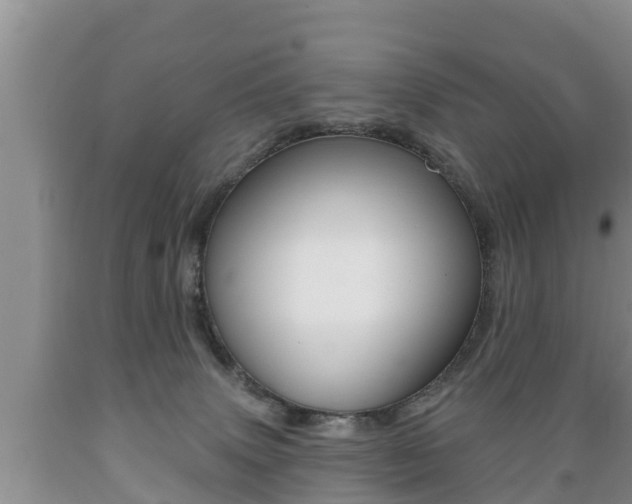 X0000089760083200706211004