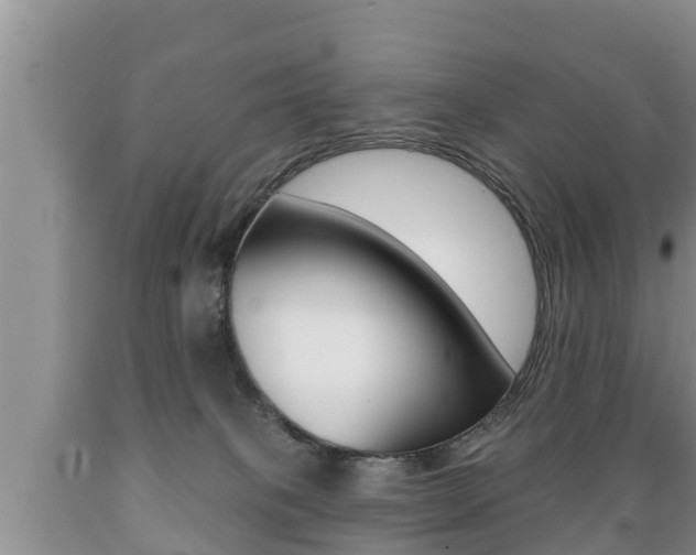 X0000089760085200706211004