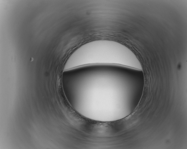 X0000089760086200706211004