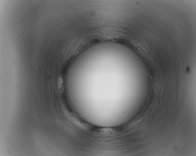 X0000089760087200706211004