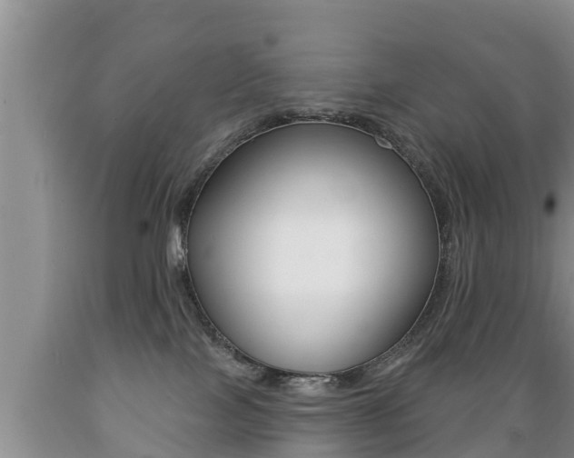 X0000089760089200706211004