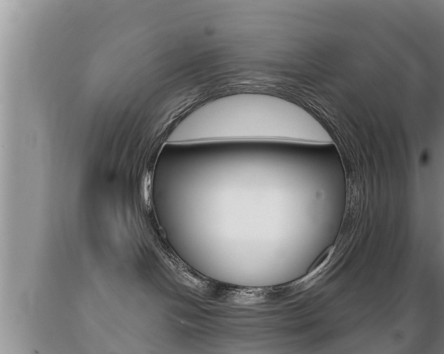 X0000089760094200706211004