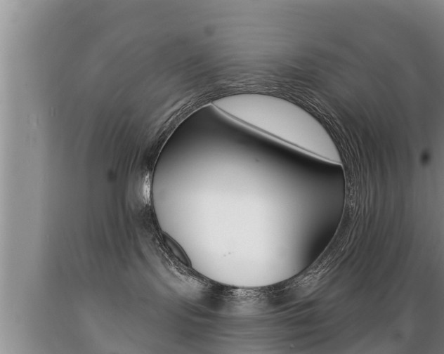 X0000089760095200706211004