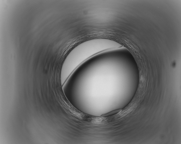 X0000089760096200706211004