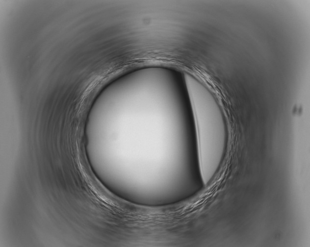 X0000089760097200706211004