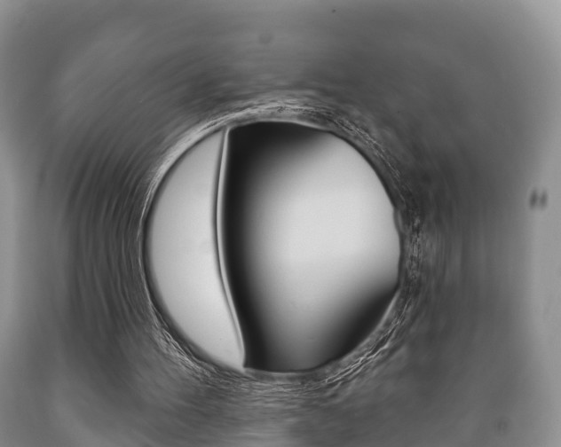 X0000089760100200706211004