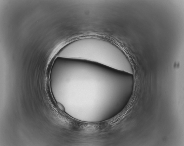 X0000089760102200706211004