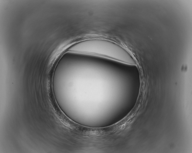 X0000089760103200706211003