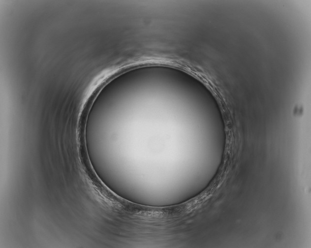 X0000089760104200706211003