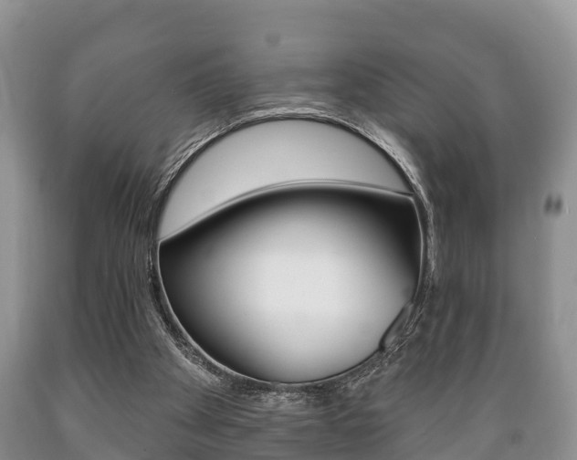 X0000089760105200706211003