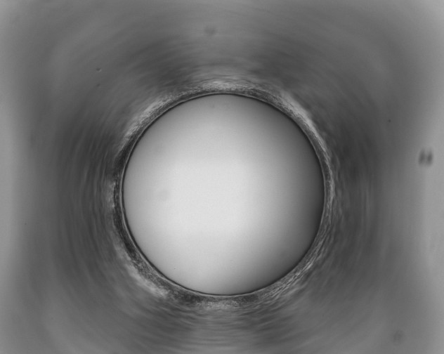 X0000089760106200706211003