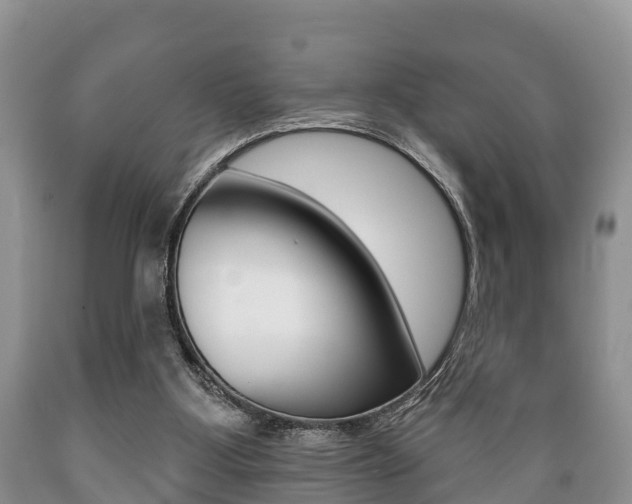 X0000089760107200706211003