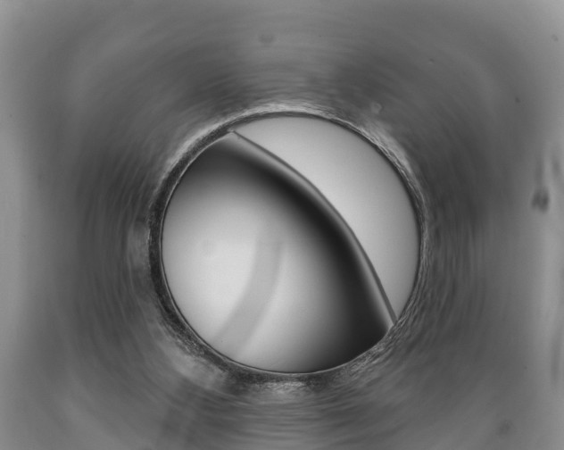 X0000089760108200706211003