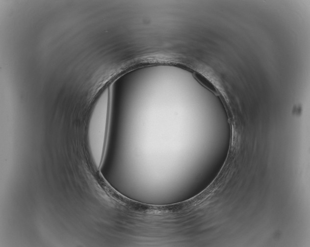 X0000089760109200706211003