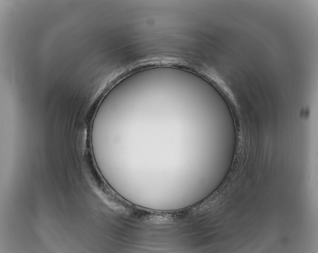 X0000089760110200706211003