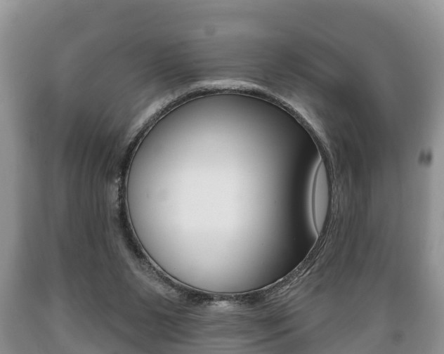 X0000089760111200706211003