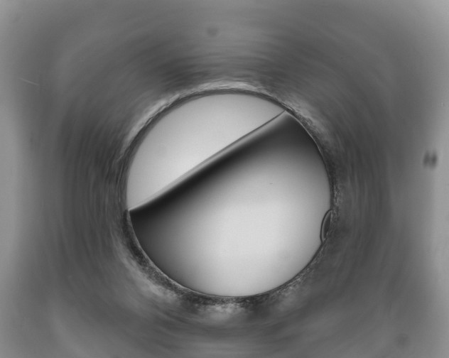 X0000089760112200706211003