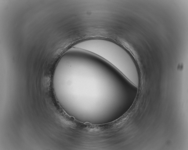 X0000089760113200706211003