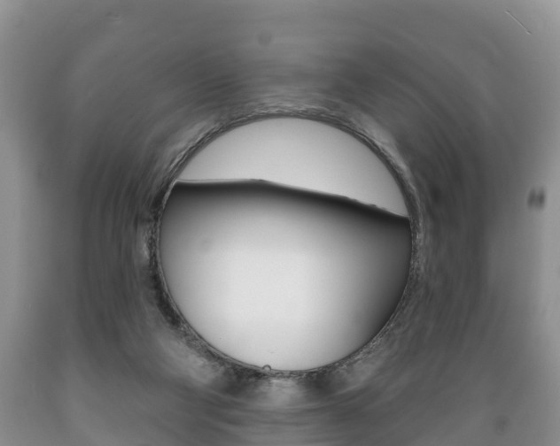 X0000089760114200706211003