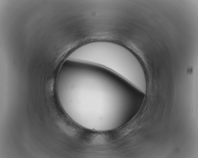 X0000089760115200706211003