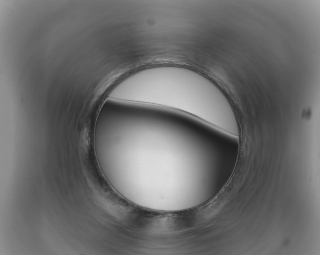 X0000089760116200706211003