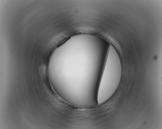 X0000089760117200706211003