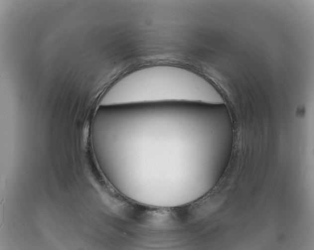 X0000089760118200706211003