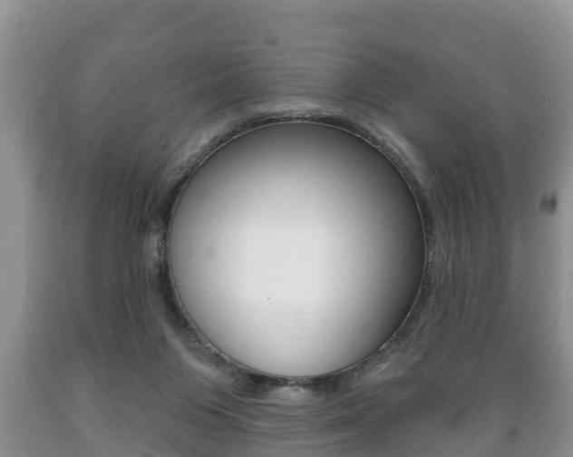 X0000089760119200706211003