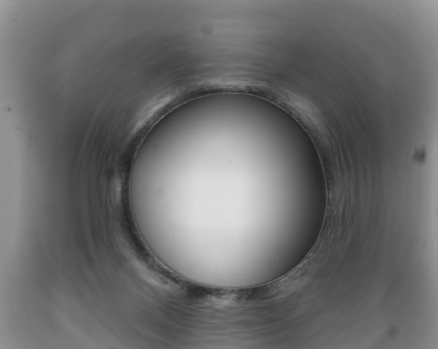 X0000089760120200706211003