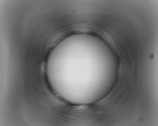 X0000089760122200706211003