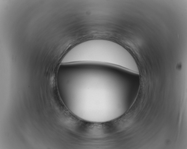 X0000089760123200706211003