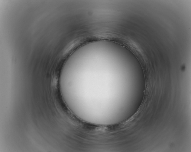 X0000089760124200706211003