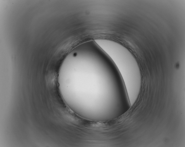 X0000089760125200706211003