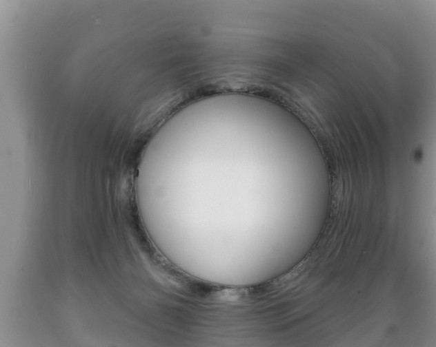 X0000089760126200706211003