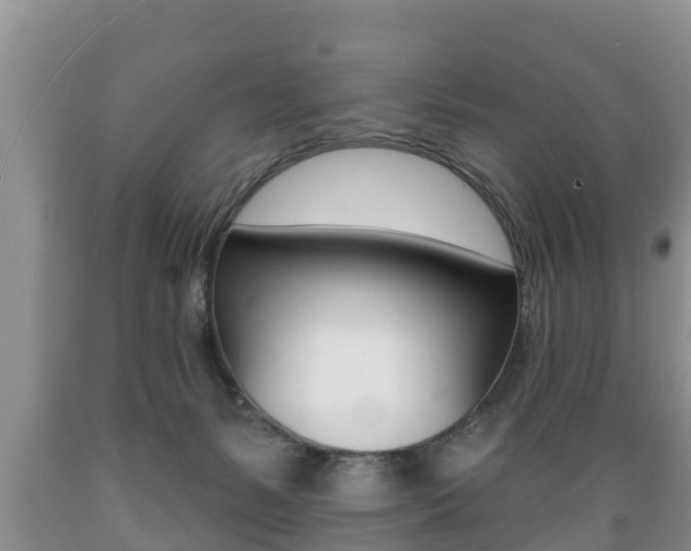 X0000089760127200706211003