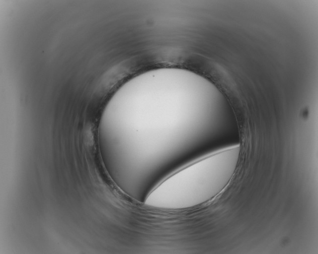 X0000089760128200706211003