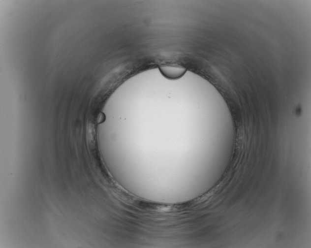 X0000089760130200706211003