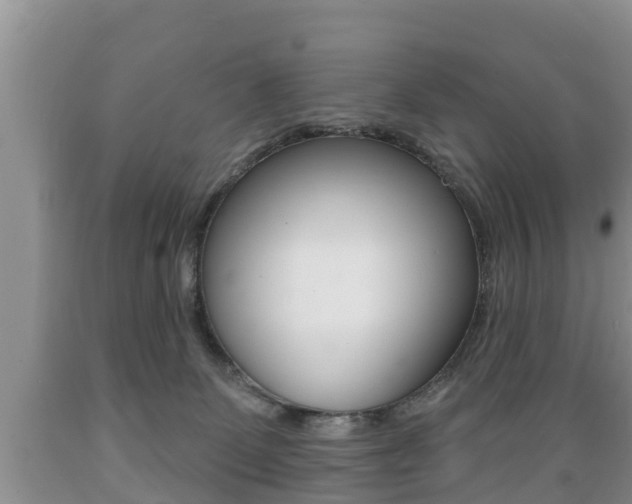 X0000089760131200706211003