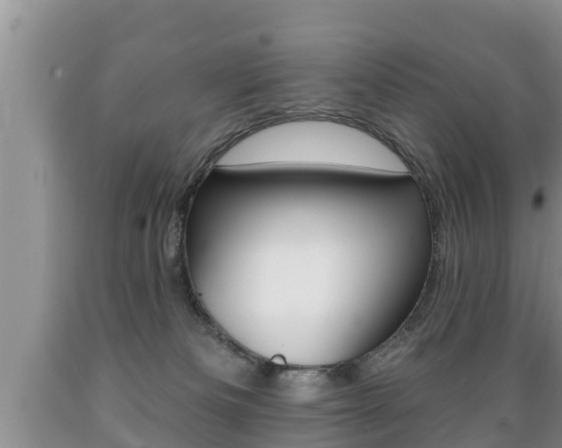 X0000089760133200706211003