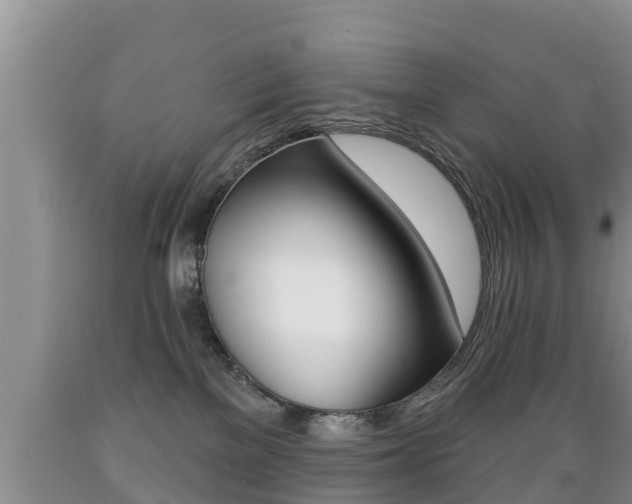X0000089760137200706211003