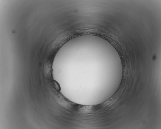 X0000089760138200706211003