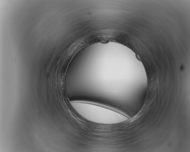 X0000089760140200706211003