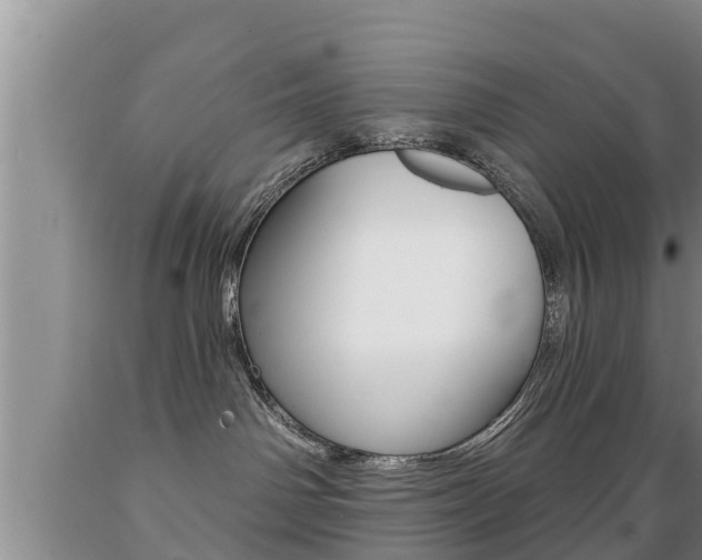X0000089760142200706211003