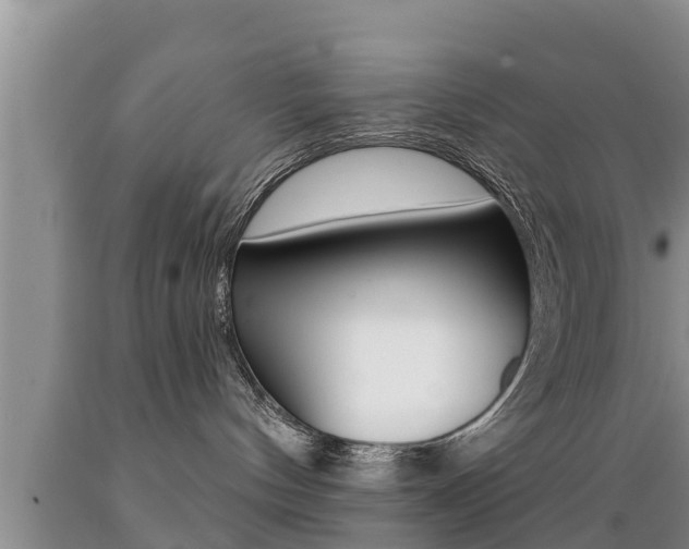 X0000089760144200706211003