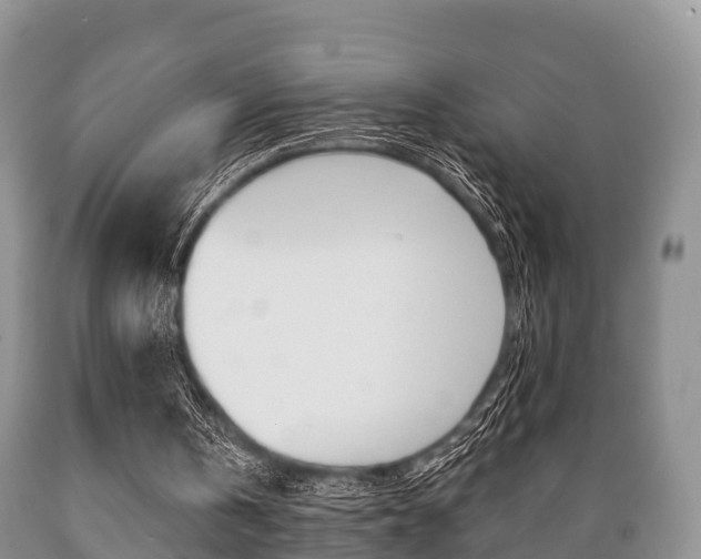X0000089760146200706211002